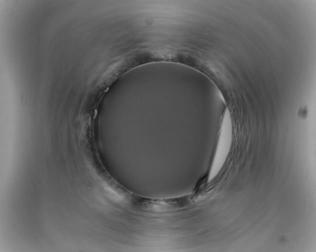 X0000091710229200709141127