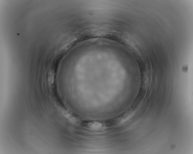 X0000091710230200709141127