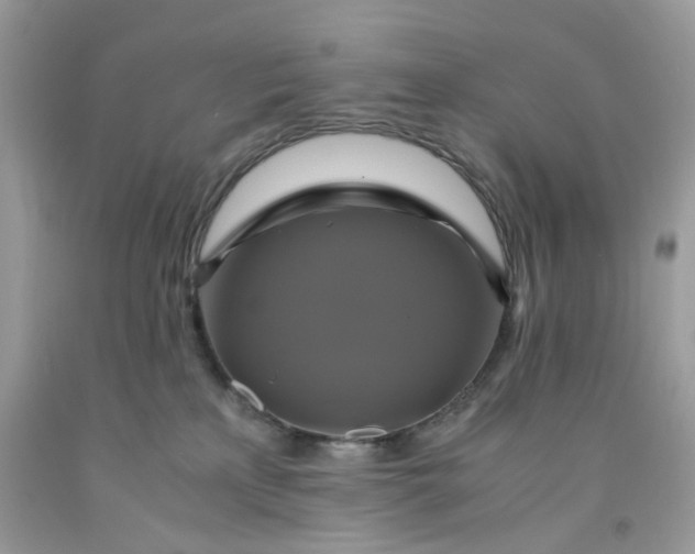 X0000091710233200709141127