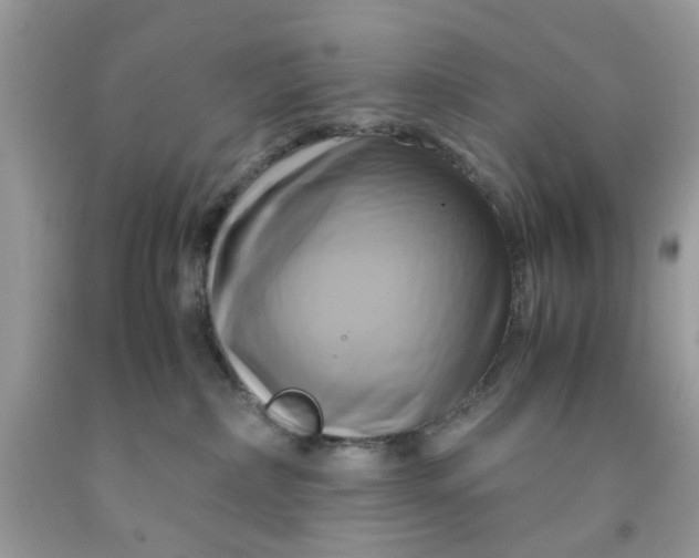 X0000091710236200709141126