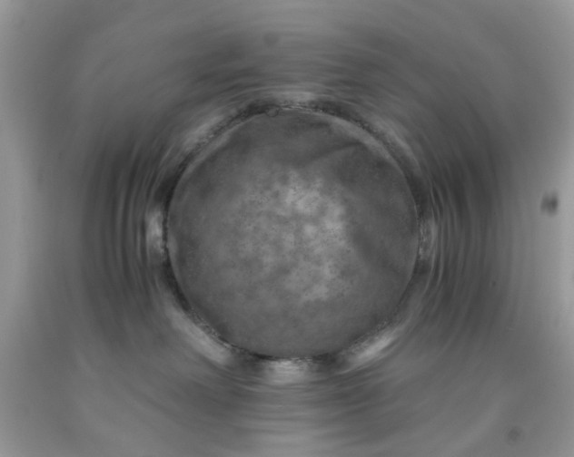 X0000091710238200709141126