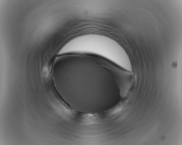 X0000091710239200709141126