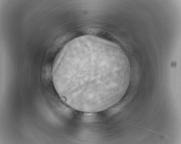 X0000091710240200709141126