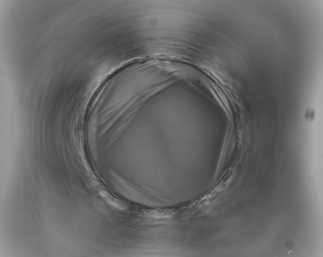 X0000091710241200709141126