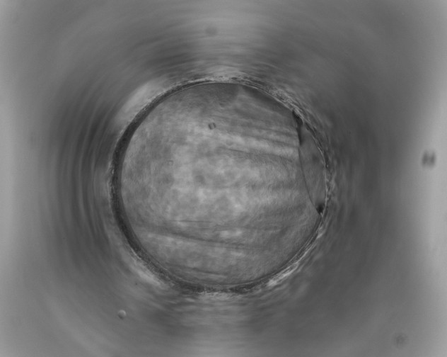 X0000091710242200709141126