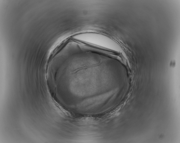 X0000091710244200709141126