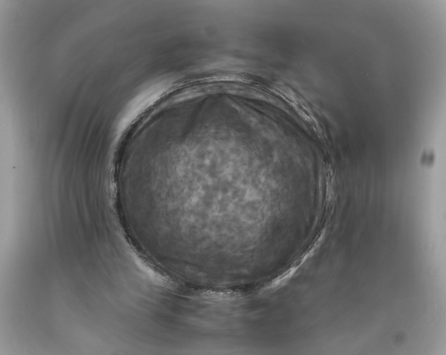 X0000091710245200709141126