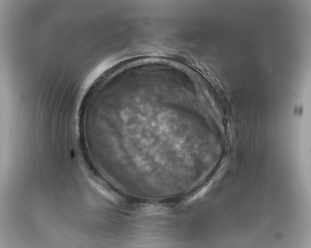 X0000091710246200709141126