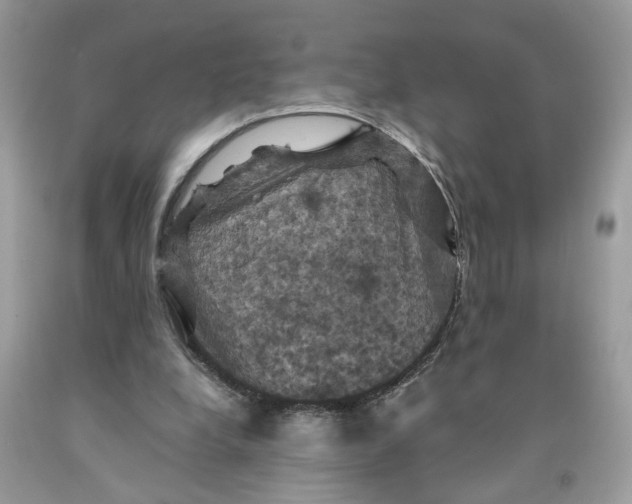 X0000091710248200709141126