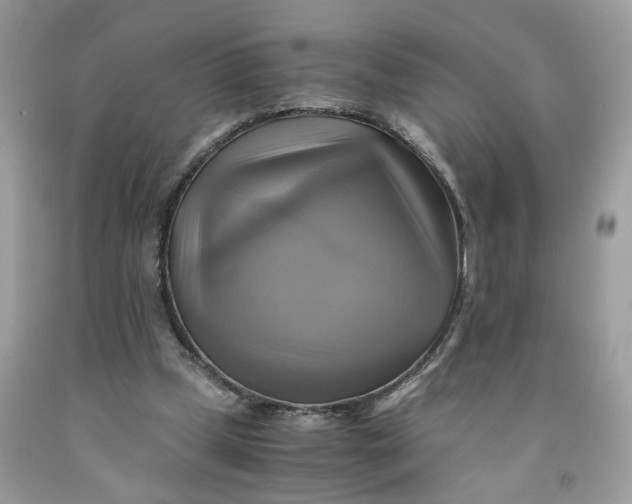 X0000091710249200709141126