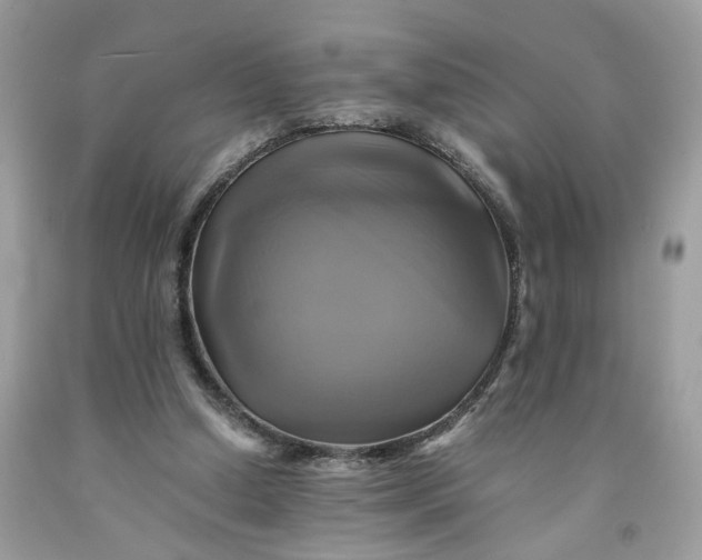 X0000091710250200709141126