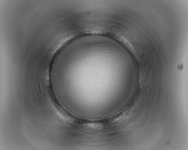 X0000091710251200709141126