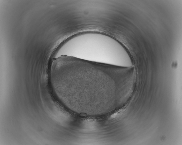 X0000091710252200709141126