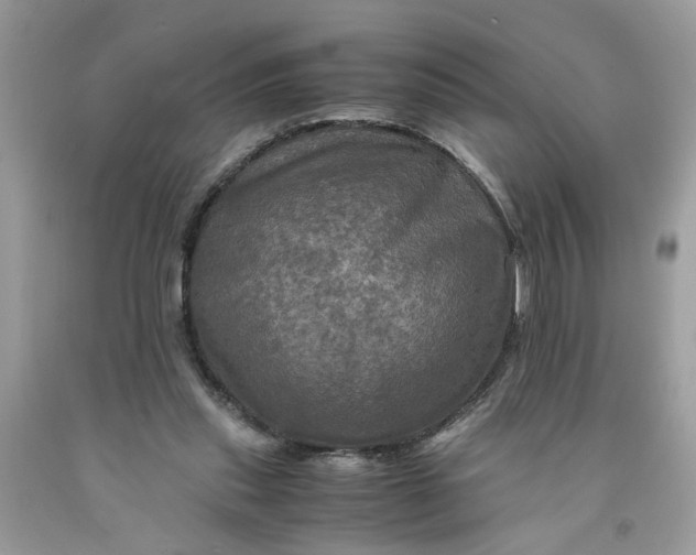 X0000091710253200709141126