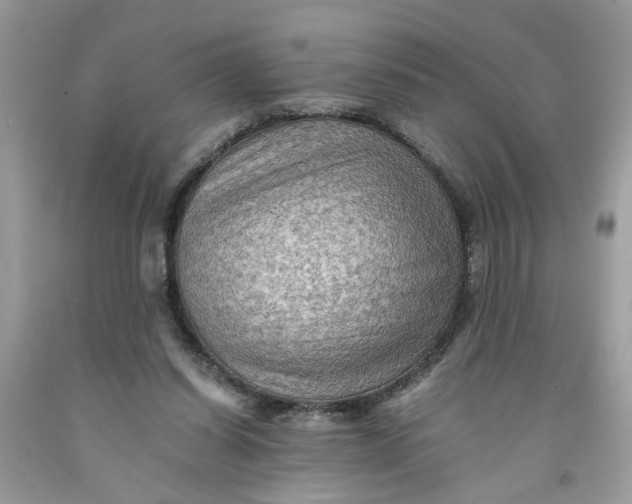 X0000091710254200709141126