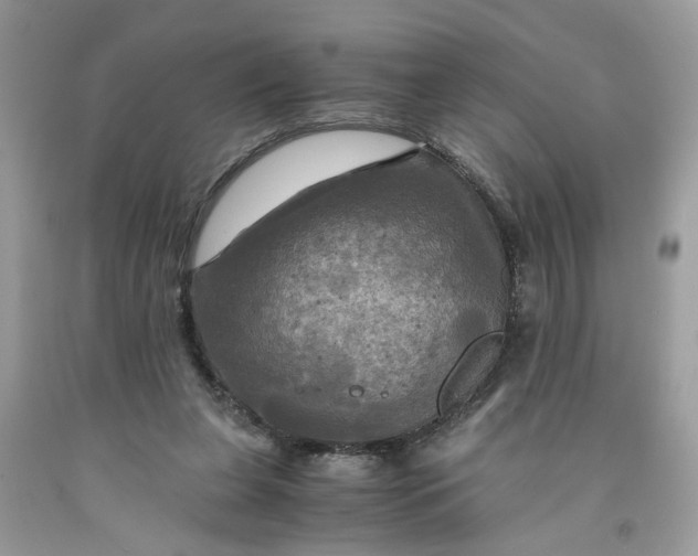 X0000091710255200709141126