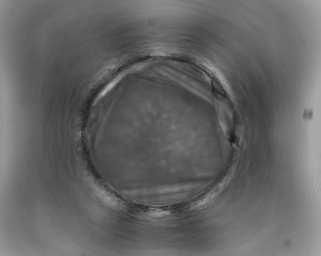 X0000091710257200709141126