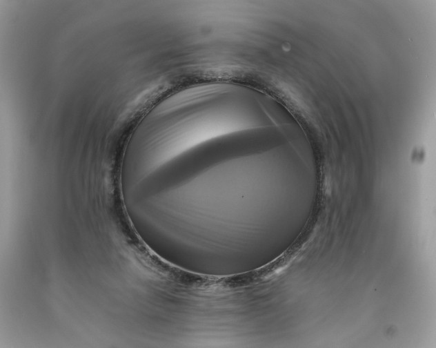 X0000091710258200709141126