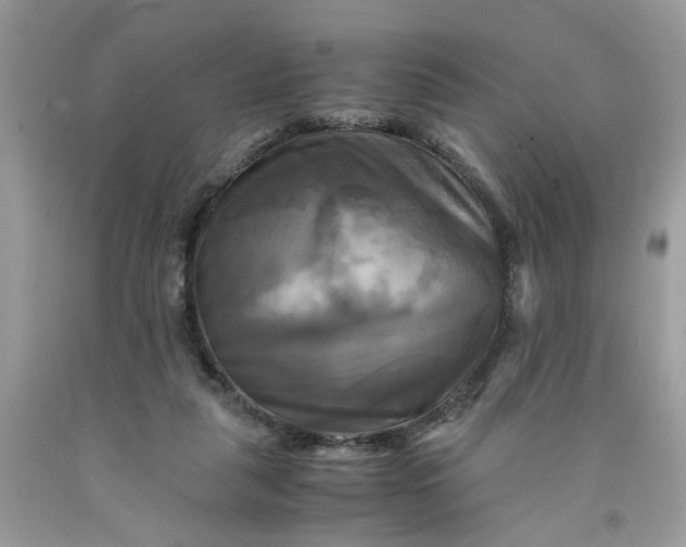 X0000091710259200709141126