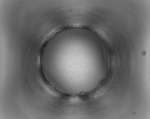 X0000091710262200709141126