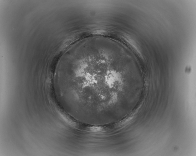 X0000091710265200709141126