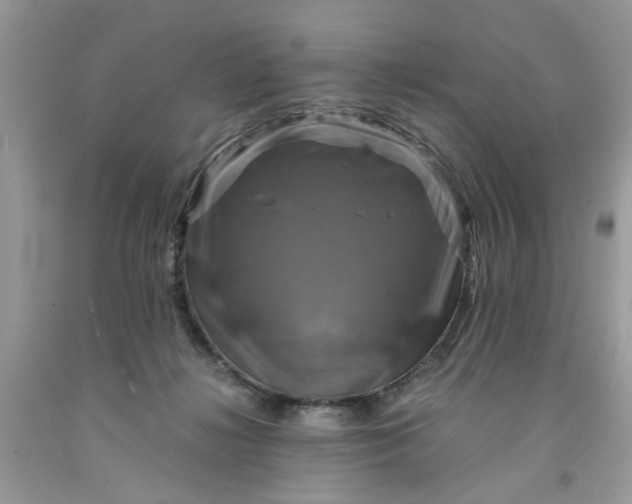 X0000091710268200709141126