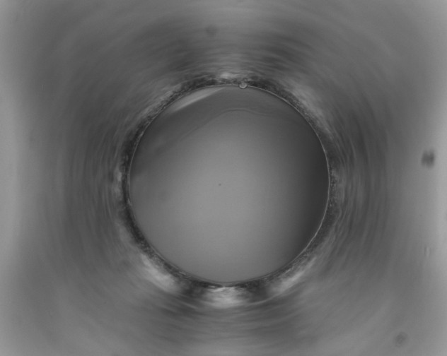 X0000091710269200709141126