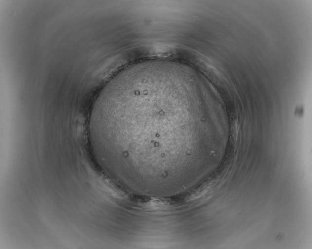 X0000091710270200709141126