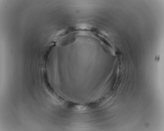 X0000091710272200709141126