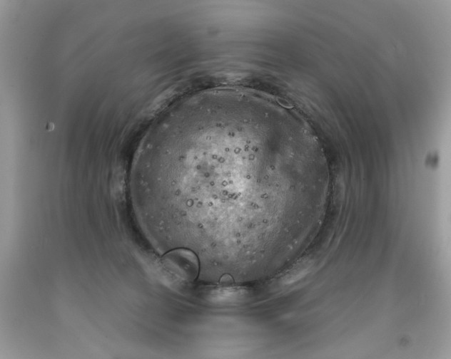 X0000091710274200709141126