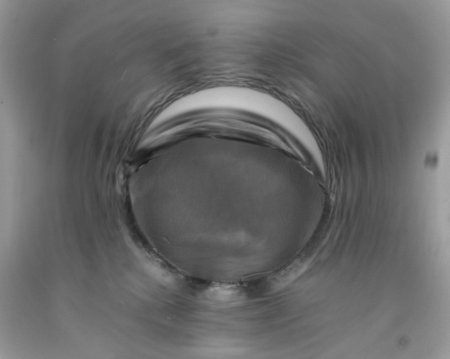 X0000091710280200709141126