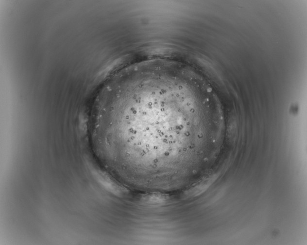 X0000091710282200709141126