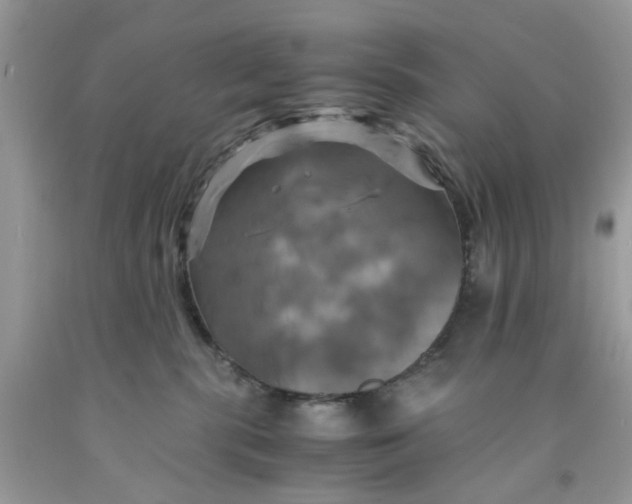 X0000091710283200709141126