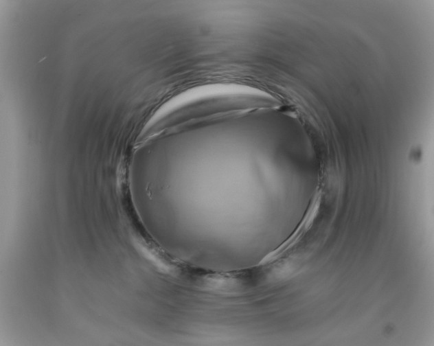 X0000091710284200709141126