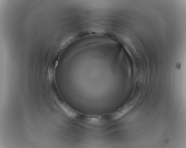 X0000091710285200709141126