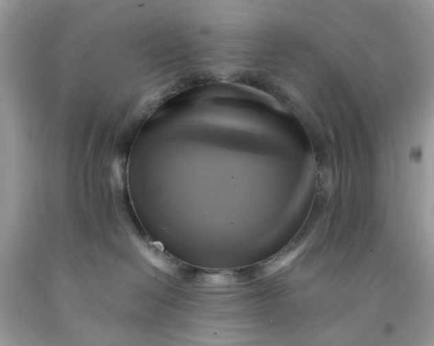 X0000091710286200709141126