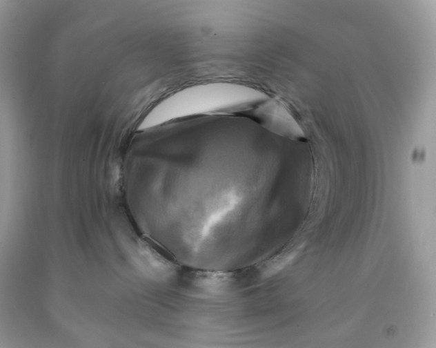 X0000091710288200709141126