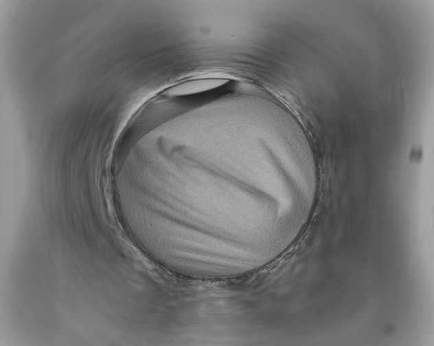 X0000091710289200709141126