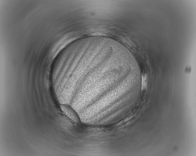 X0000091710291200709141126