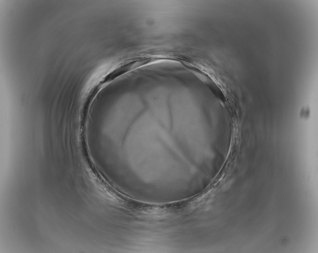 X0000091710293200709141126