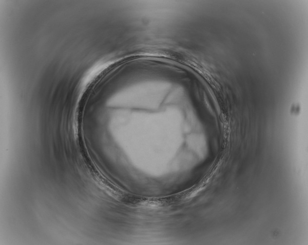 X0000091710294200709141126