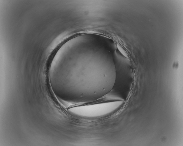 X0000091710295200709141126