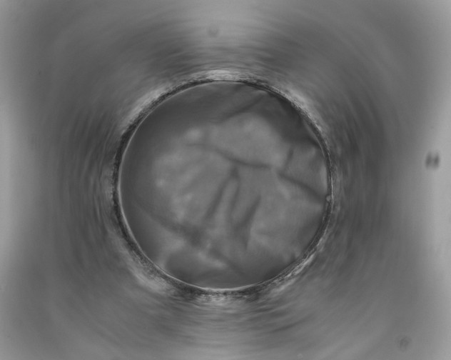 X0000091710297200709141126