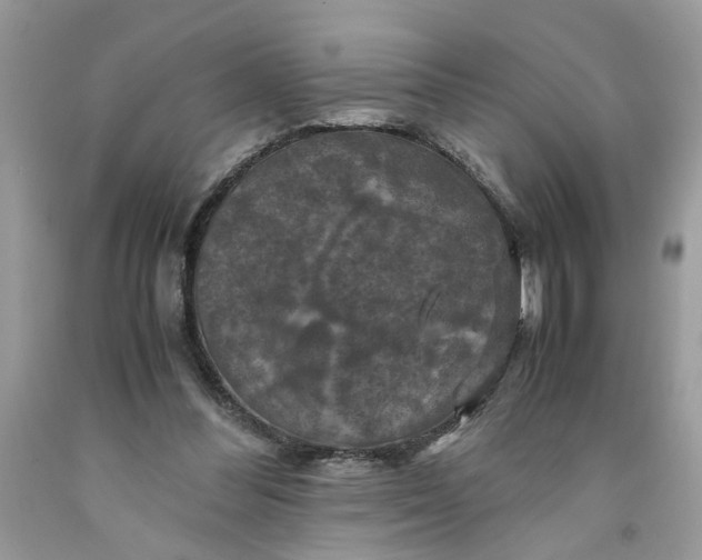 X0000091710300200709141126