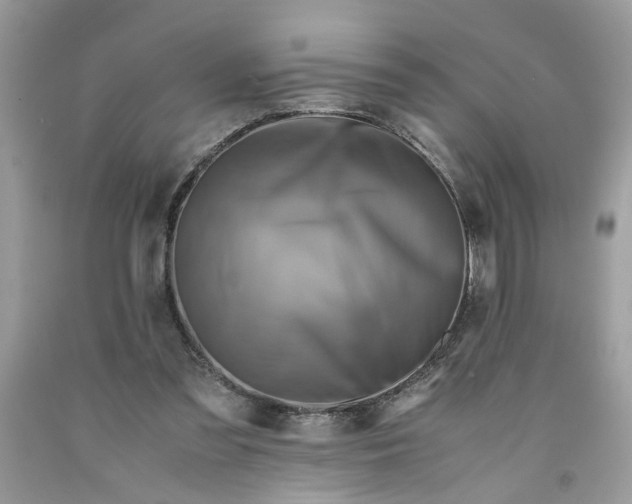 X0000091710301200709141126