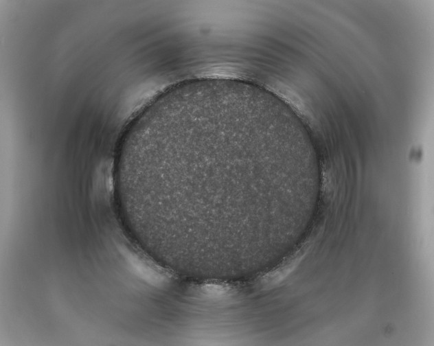 X0000091710302200709141126