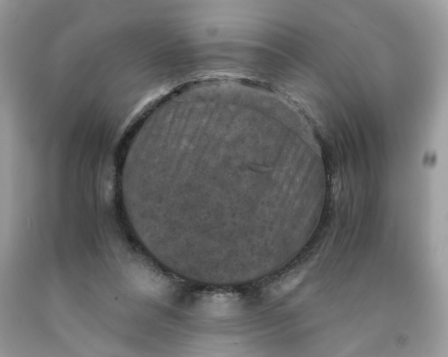 X0000091710304200709141126