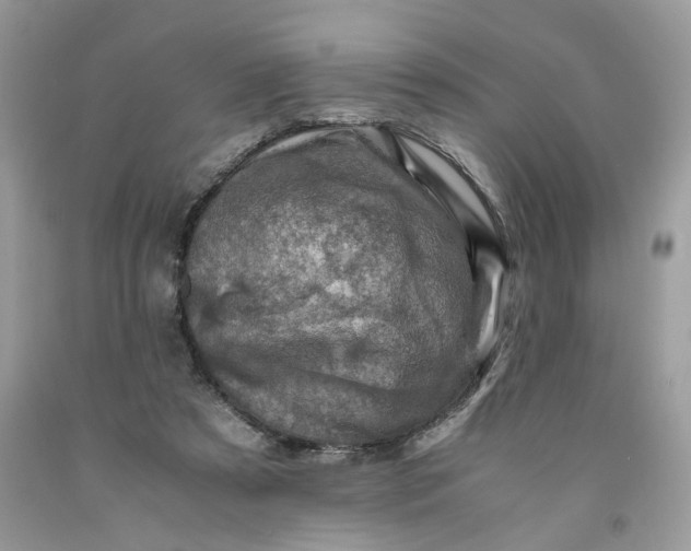 X0000091710305200709141126