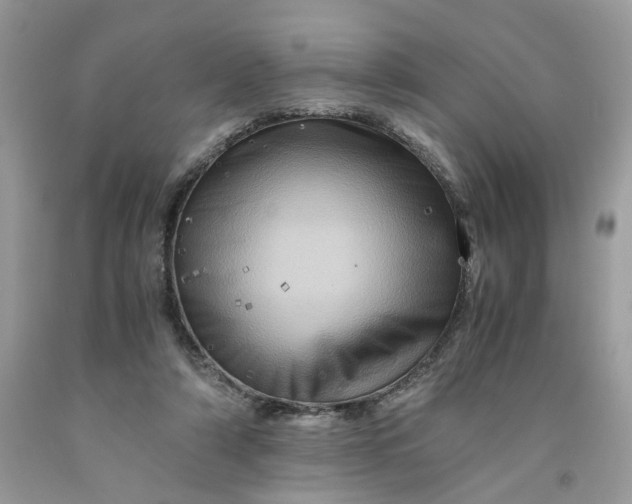 X0000091710306200709141126