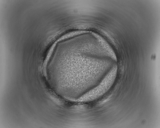 X0000091710307200709141126